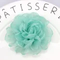 Macro detail of mint green organza fabric flower clip with layered petal texture - Green