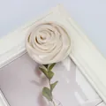 Macro detail of elegant cream satin rose flower on a minimalist white photo frame - Flat Pad / Deep Beige