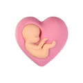3D-hart siliconen kraal met babyfoetusontwerp in roze voor Moederdag DIY-sieraden maken - 3D Moeder En Kind