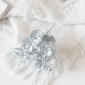Macro detail of artificial eucalyptus leaves with elegant silver metallic coating - Silver