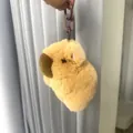 Schattige Capibara