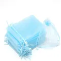 Light blue organza mesh bag with drawstring for fruit protection and garden pest control - Light Blue / 11*16cm