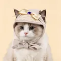 Beige pet baseball cap with woven straw brim and elegant golden bow for small dogs - S / Beige Straw Hat