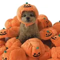 Cute pet pumpkin headwear with jack-o'-lantern face for dogs and cats Halloween costume - Jack-O'-Lantern Hat