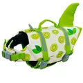 Dog life jacket with kiwi pattern and shark fin detail for safe summer swimming - Kiwi