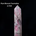 Polished plum tourmaline crystal point hexagonal prism in pink and grey tones, 6-7cm height - Plum Tourmaline (6-7cm)