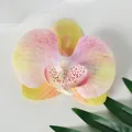 Testa di orchidea artificiale sfumata rosa e gialla per decorazioni di nozze e fai da te - Pellicola di Pittura a Olio di Boemia Rosa