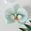 Testa di orchidea Phalaenopsis artificiale verde menta per decorazioni fai-da-te - Pellicola di Boemia Verde Menta