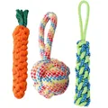 3-pack dog rope toys with carrot, ball, and braided rope for chewing and play - Training 3-piece Set (radish + Single-ear Ball + New Handheld Corn Cob)