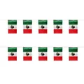 Mexican flag bunting banners with 10 polyester flags for world cup fans decorations - Mexico String Flag / 14cmx21cm