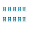 Set of 10 Argentina flag bunting banners for 2026 World Cup sports event decoration - Argentina String Flag / 14cmx21cm