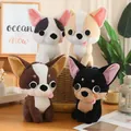 Set of four adorable plush chihuahua dolls in various colors for collection and gifts - Chihuahua 30cm / Price And Color Are Random For Single Pieces Around 40cm In Length.