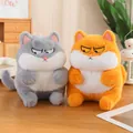 Set of two plush cat toys in orange and grey with grumpy expressions and hanging loops - 30cm Of Slick Cat / Price And Color Are Random For Single Pieces Around 40cm In Length.