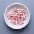 Dettaglio di perline di ceramica a stella marina rosa perlato per gioielli in ciotola - Rosa