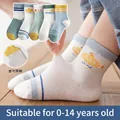 5-pack girls mesh socks with cartoon patterns and striped cuffs in mixed pastel colors - 9-14 Years (Shoe Size 30-36) / 5 Pairs / Submarine Series