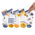 5-pack breathable mesh crew socks for girls featuring cartoon tiger and star patterns - 9-14 Years / Little Tiger (Breathable Mesh)