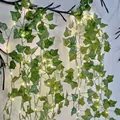 Solar-Efeugirlande mit warmweißen LED-Lichterketten für die Wanddekoration im Garten - USB Konstantlicht 10M 100LEDs / Grüner Efeu