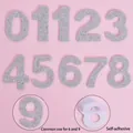 Silver glitter self-adhesive number 0-9 stickers for pet birthday party hat decorations - EVA Adhesive Number Set / Silver