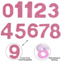 Pink glitter self-adhesive number stickers for pet birthday hats including interchangeable 6 and 9 - EVA Adhesive Number Set / Pink