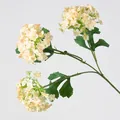 3-Head Wood Hydrangea Yellow
