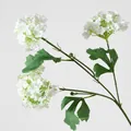 3-Head Wood Hydrangea White