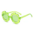 Monture Verte Transparente Verres Verts