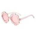Monture rose transparente verres roses