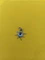 Silver-tone starburst pendant with a blue cat-eye stone and white zircon accents - Silver Starburst White Rhinestone Pendant (Silver + White T004)