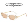 Lunettes de soleil ovales champagne avec branches dorées et verres assortis - Monture Champagne Verres Champagne