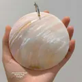Large natural freshwater shell binder notebook with iridescent glow and silver ring - Large Freshwater Shell Notebook - Approx. 10cm / Approx. 10cm