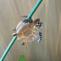 Pink and brown turtle hair claws with realistic spotted shell patterns on plant stem - Turtle Style 1