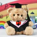 Vorderansicht eines Abschluss-Teddybären in schwarzem Talar mit Doktorhut und Quaste. - Weiße Geschenkttüte / 25cm / Abschlussbär - Braunbär Schwarze Robe Rosa Kragen