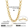 Specifiche tecniche dettagliate della collana a catena in acciaio inossidabile e zirconi - Collana a Doppia Catena con Zirconia (JDN0303320) / Oro