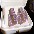 Elegante roze zirconia blad oorbellen met zilveren spelden in een witte geschenkdoos - Korenaren Ring Zirconia (39#) / Set van 1 paar / Zilver