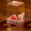 Capybara ornament featuring red watermelon quartz shards in transparent resin base - Passion - Watermelon Crystal (1188-54B)