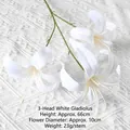 Golden Lily White