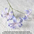 Golden Lily Purple