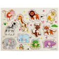 Educational wooden knob puzzle with 11 colorful animal shapes for early childhood learning - Forest Animal Peg Puzzle