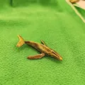 Macro shot of an antique brass whale pin with a textured finish on green fabric - Humpback Whale
