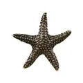 Macro detail of antique brass starfish ornament with realistic textured grain finish - Starfish