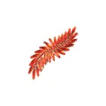Detailed close-up of leaf-shaped hair clip with red crystals and golden finish - Bright Red Style (3)