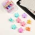 Detailed macro view of colorful macaron flower mini hair clips in a transparent gift box - Flower / Spring Colors