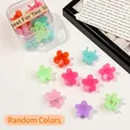 Macro view of colorful mini flower hair claws in a transparent plastic storage box - Plum Blossom / Jelly Color
