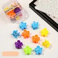 Macro shot of colorful mini flower hair clips in a transparent storage box - Flower / Vibrant Color