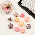 Morandi colored flower hair claws in a transparent gift box with a random color assortment - Flower / Milk Coffee