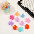 Mini resin flower hair claws in colorful macaron shades with transparent storage case - Flower / Jelly Color