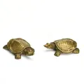 Macro detail of solid brass turtle figurines showing realistic head and shell textures - Softshell Turtle
