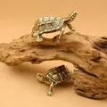 Detail of solid brass tortoise ornaments showing intricate shell textures and antique finish - Longevity Turtle