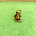 Macro detail of solid brass frog figurine showing metallic bronze texture and patina - Meditation Frog