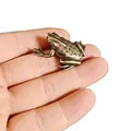 Macro shot of a tiny antique brass frog figurine held in hand to show scale - Spotted Back Pointed Frog